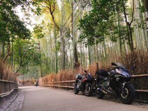 嵐山 竹藪での写真